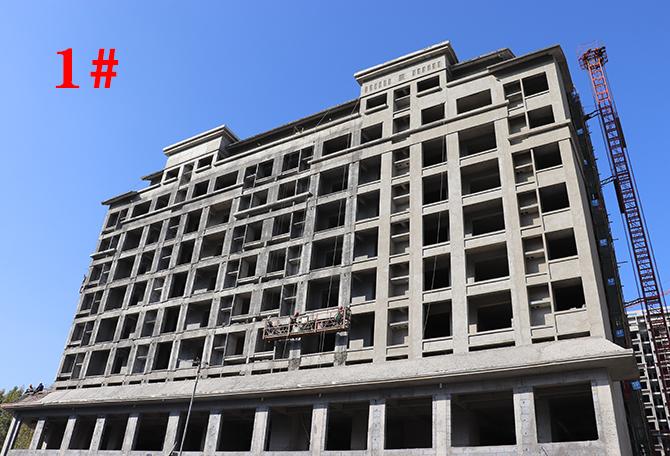 平輿最新樓盤市場現狀與前景展望,深度解析市場趨勢與發展前景展望