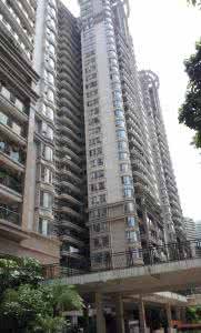 永州公園大地最新動態?