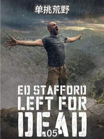 單挑荒野最新2025,詳細(xì)步驟指南與攻略秘籍