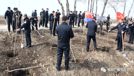 榆樹最新資訊更新,榆樹新聞動態速遞