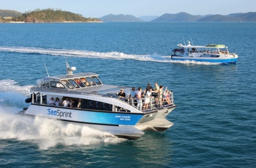 時代背景下的璀璨星辰,最新號號天堂綜述