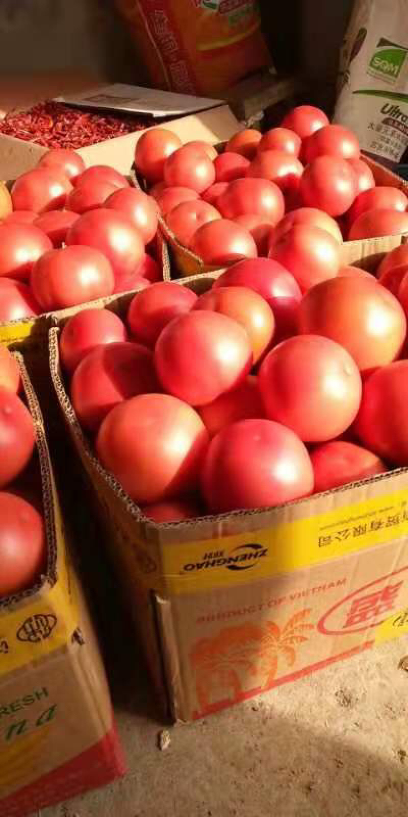 安徽西紅柿產地探秘,自然美景與鮮美西紅柿的邂逅之旅