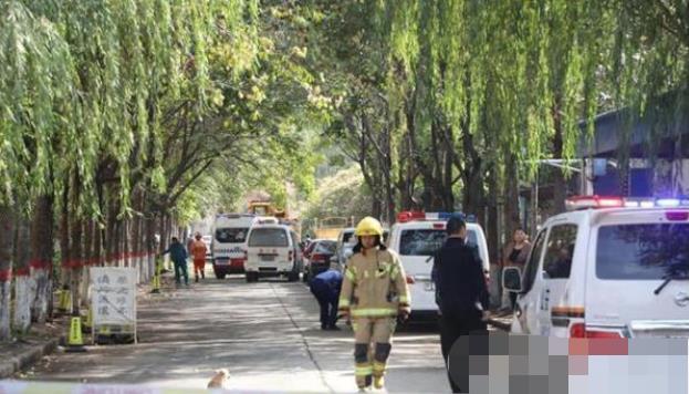 安陽最新事件,溫馨日常與不期而遇的友情之旅