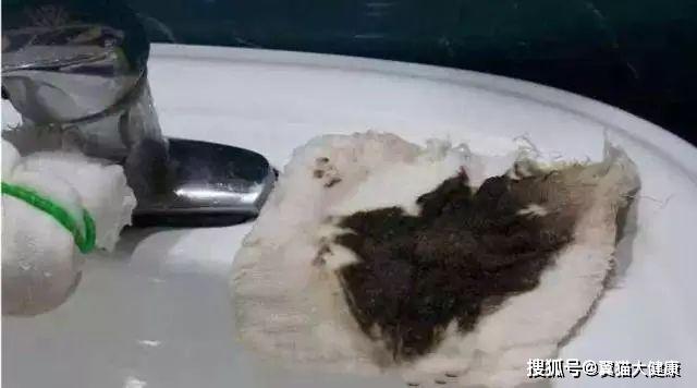 揭秘水污染真相，小杰的河流探索之旅——溫馨河流的秘密揭秘視頻