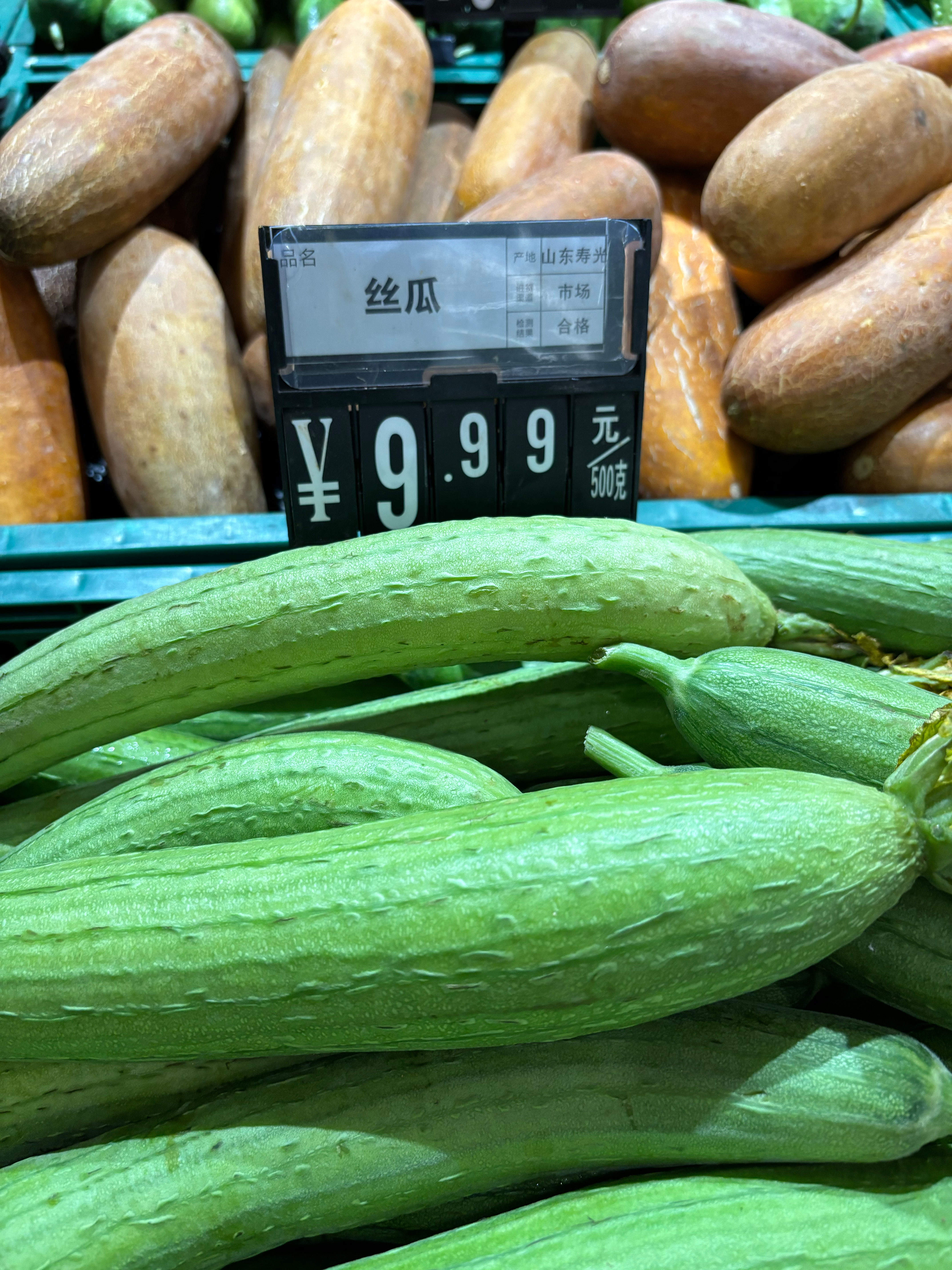 絲瓜價格最新行情??大揭秘！火爆價格走勢一網(wǎng)打盡??