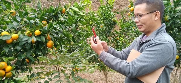 活力四溢的湘西門戶——沅陵最新紅網動態