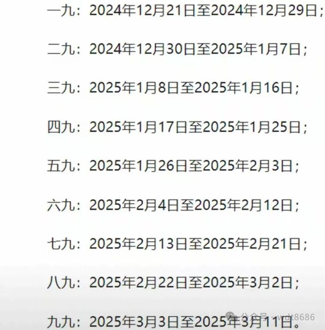 最新久久網2025,友情小船與溫馨日常的交織