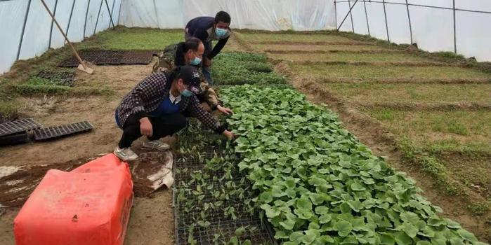 策勒最新招聘啟航人才新篇章,學(xué)習(xí)變化,擁抱自信與成就,啟程人生新征程!