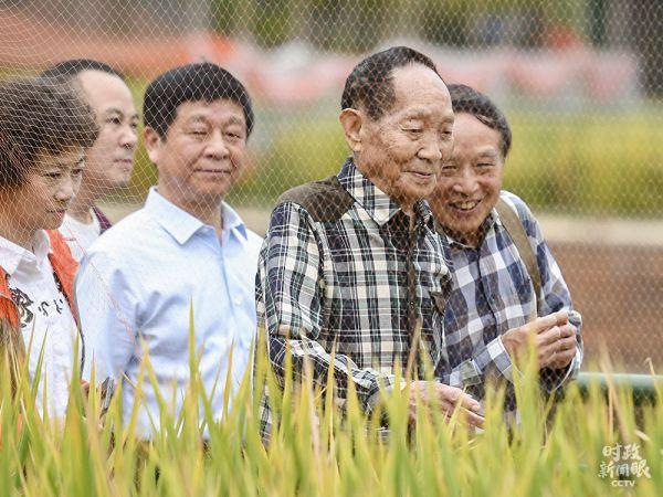 國家最新時政新聞解讀指南,獲取與理解政策動態的關鍵步驟