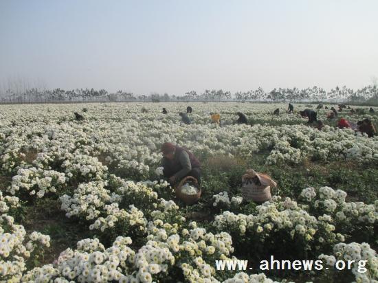 界首最新新聞,學習變革的力量,自信與成就感的融合之路