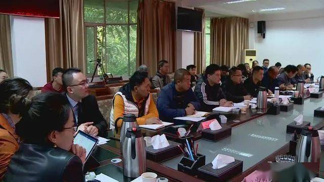 德昌最新新聞，擁抱自然，心靈寧靜之旅啟程