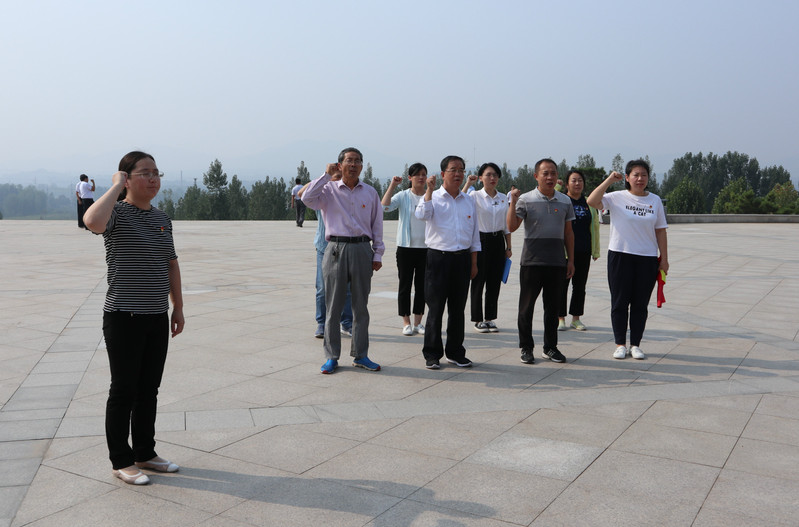 肥城房產(chǎn)最新動(dòng)態(tài),市場(chǎng)走勢(shì)、熱門(mén)區(qū)域與案例分析