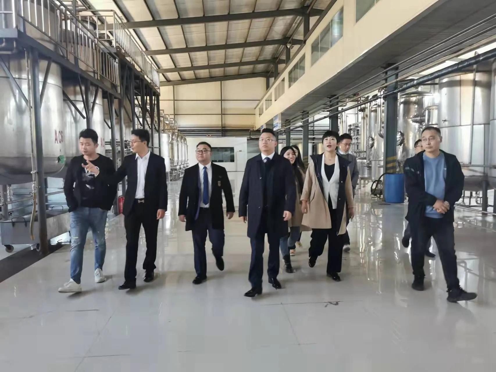 鼎恒升最新動態，追溯特定領域的發展歷程與重要地位