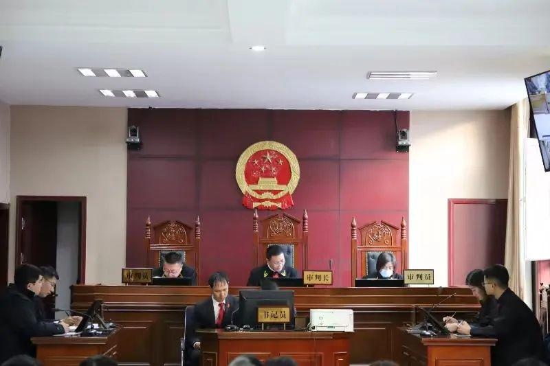 偏關最新案件深度解析，揭示真相，關注社會公正與公平