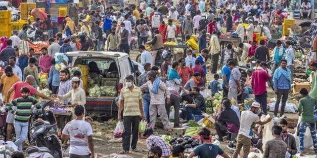 最新美國病理,前沿挑戰的深度探索