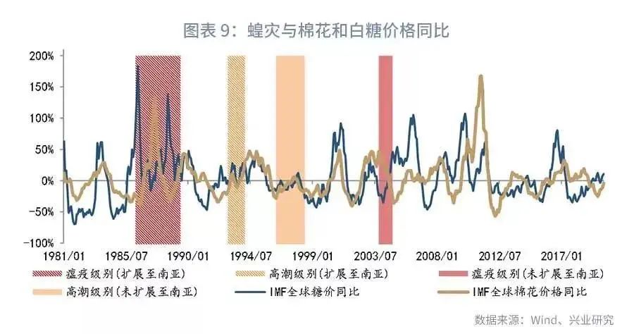 ??蝗災最新數據揭秘與分析??
