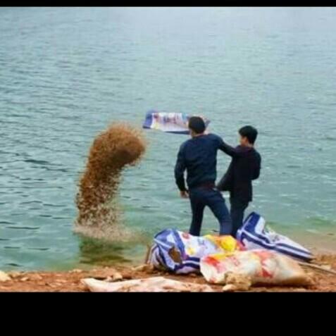 科學釣魚最新探索,學習與實踐的成就感之旅