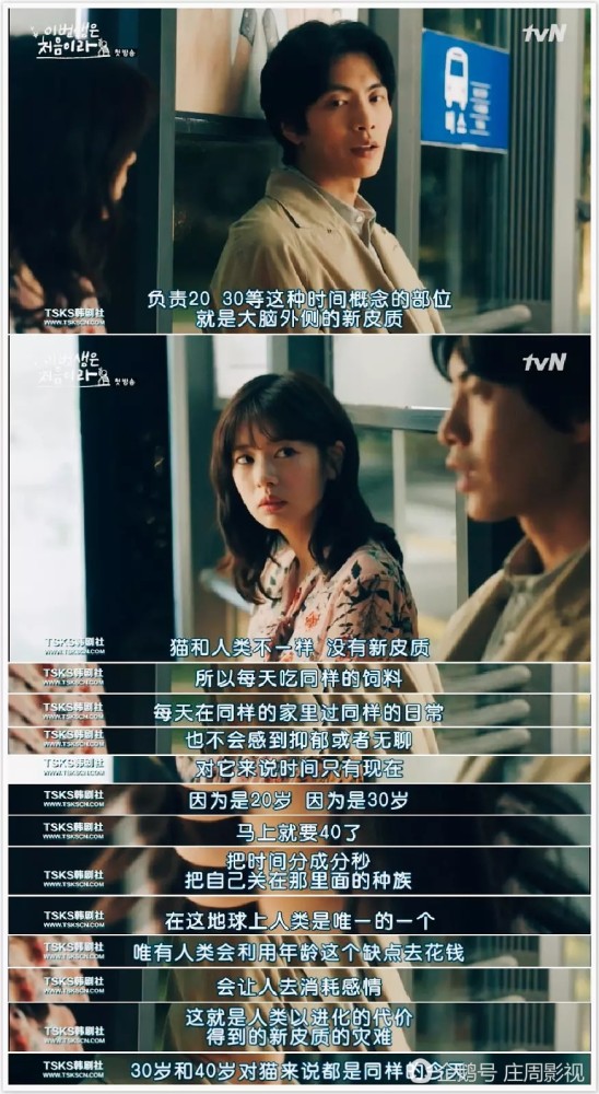 最新韓劇親吻,勵志之力與自信蛻變的情感之旅