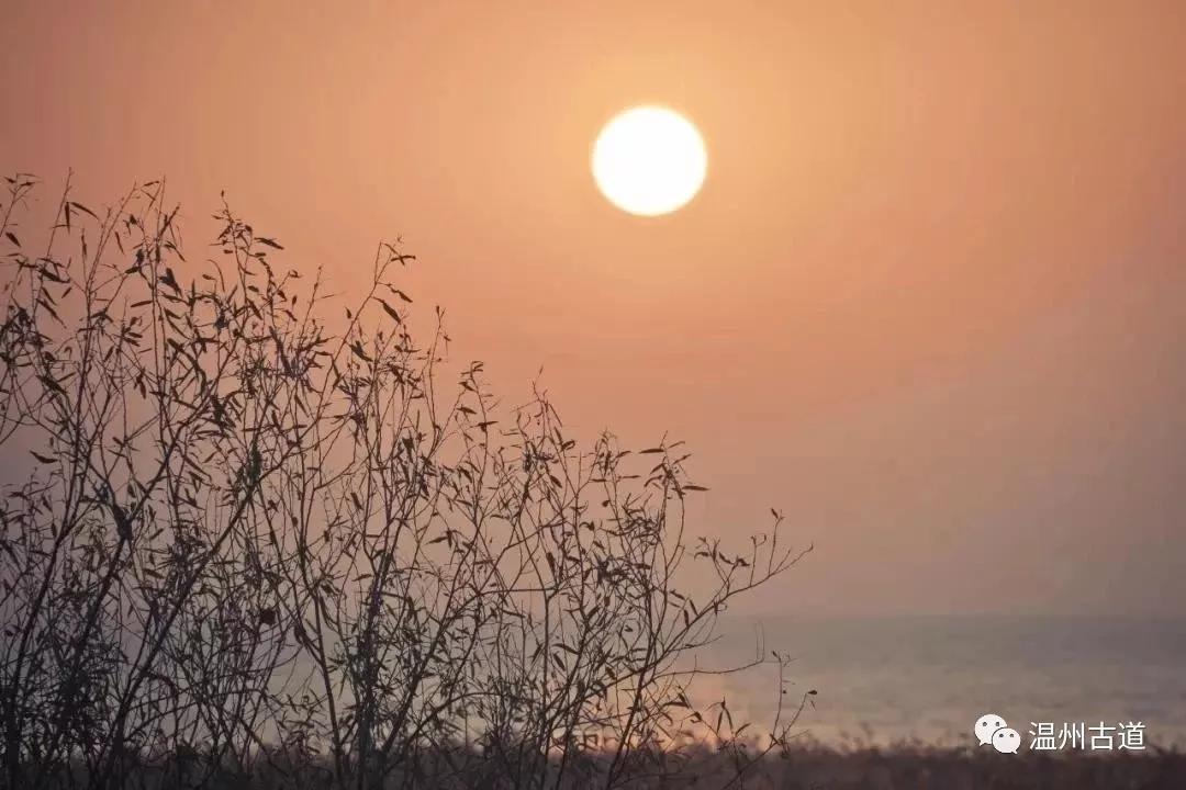 最新瘟疫詩詞，時代之聲與人文關懷的交融展現