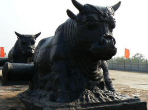 鐵牛視頻最新精彩呈現(xiàn),領(lǐng)略與眾不同的世界!