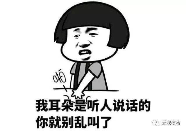 最新枕邊笑話，科技小寶貝，生活添樂趣