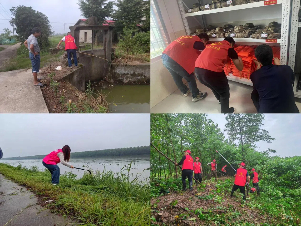 南縣防汛最新動態更新