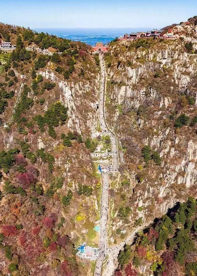 泰山最新聞,觀點與立場的深度探討