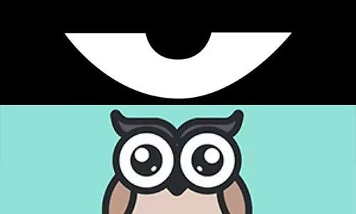 最新積目,全面解讀與觀點闡述