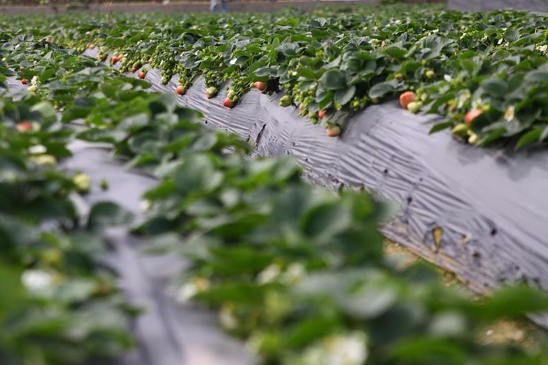 湖北最新封鎖，科技智能重塑防線，守護生活安全