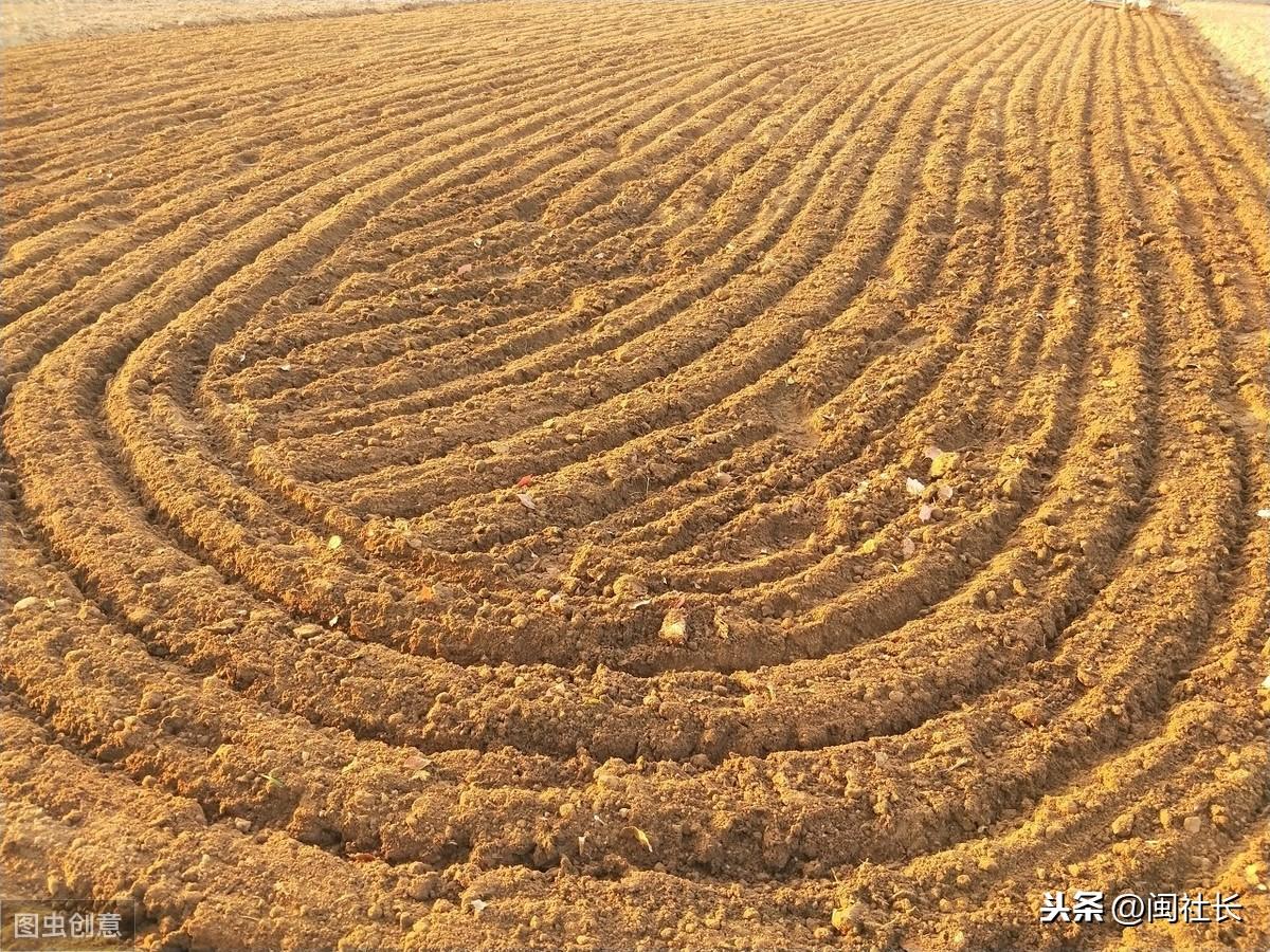 最新土地賠背后的友情故事