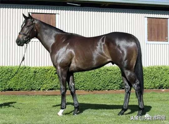 卡拉卡最新指南，任務完成與技能學習步驟攻略