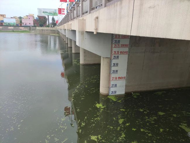 最新水位動(dòng)態(tài)揭秘,水域狀況一覽無(wú)余??