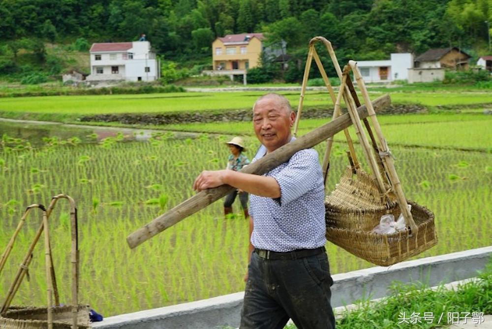 湖北最新措施的深度解析與個(gè)人觀點(diǎn)觀察