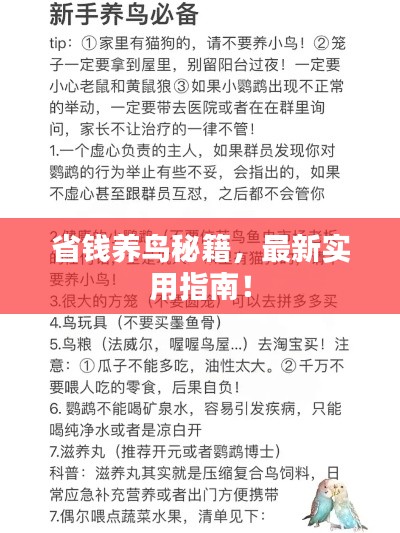 最新養鳥法規解析，觀點闡述與深度探討