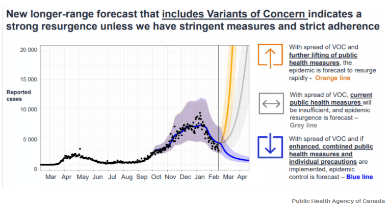 約克最新疫情動態,學習變化中的自信與成就力量