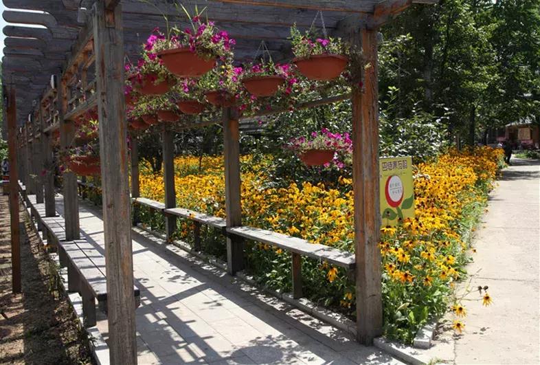 月牙灣最新深度闡述觀點解析