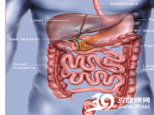 高科技產品重塑生活,體驗前沿魅力,探索腸鳴最新技術