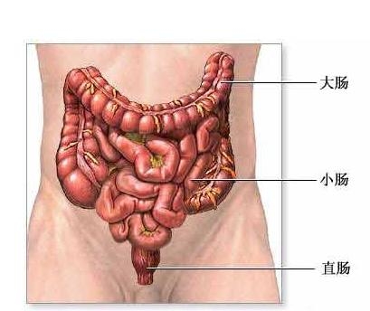 高科技產(chǎn)品重塑生活,體驗(yàn)前沿魅力,探索腸鳴最新技術(shù)