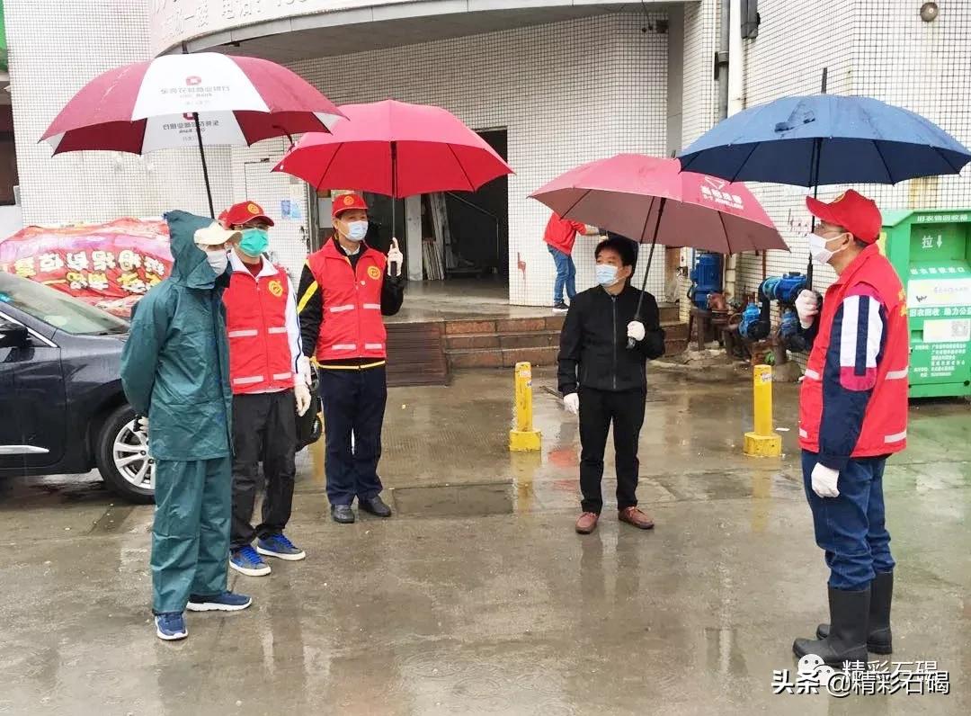 石碣最新疫情動態，變化中的學習，鑄就未來力量