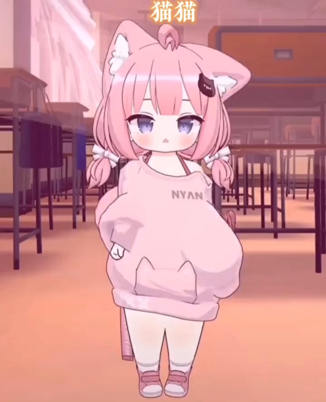 貓妹妹最新動態,萌態盡顯,溫暖你的心??