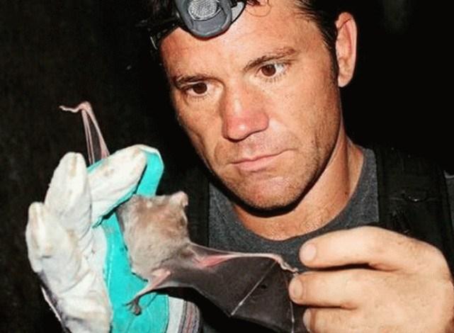 蝙蝠最新電影，自信與成長的翅膀，勵志翱翔天空之旅