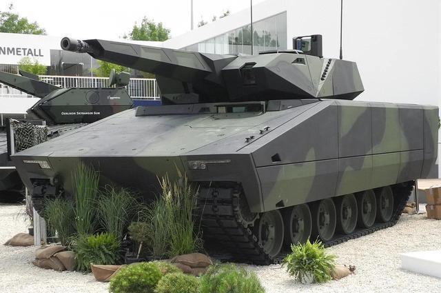 揭秘山貓神秘面紗,三大要點一網打盡!