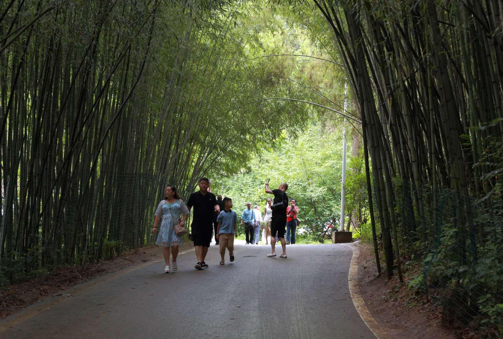 全家最新優惠攻略,一步步教你享受最大優惠折扣!