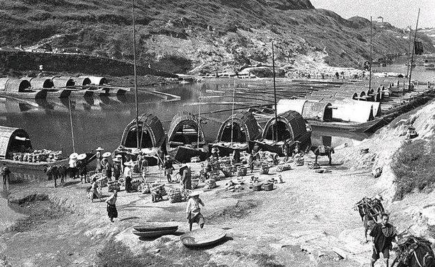 最新搶購鹽現象透視,背后的原因與觀點分析