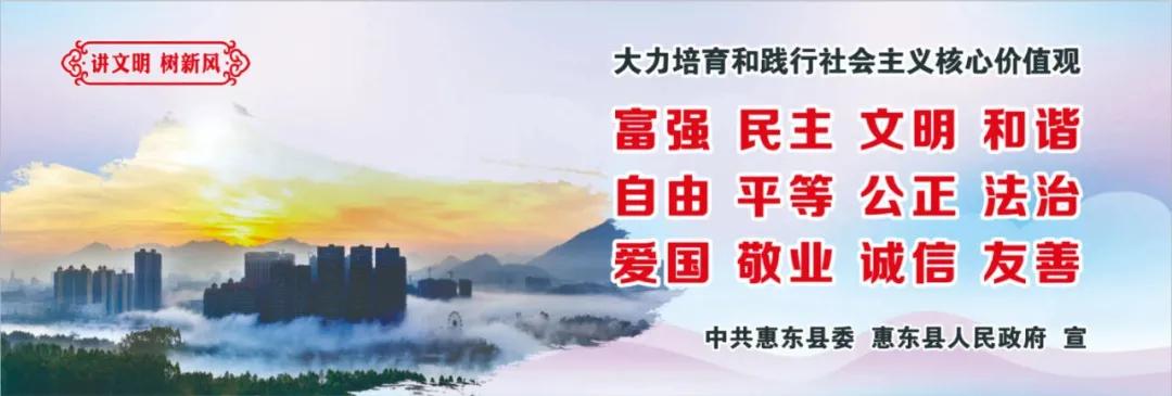 惠州肺炎最新動態，小巷深處的獨特小店背后的故事