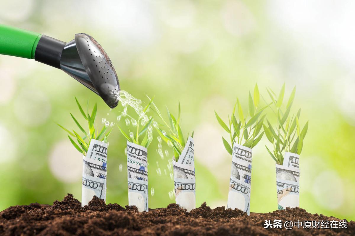 揭秘最新股票密碼,掌握股市成功之匙