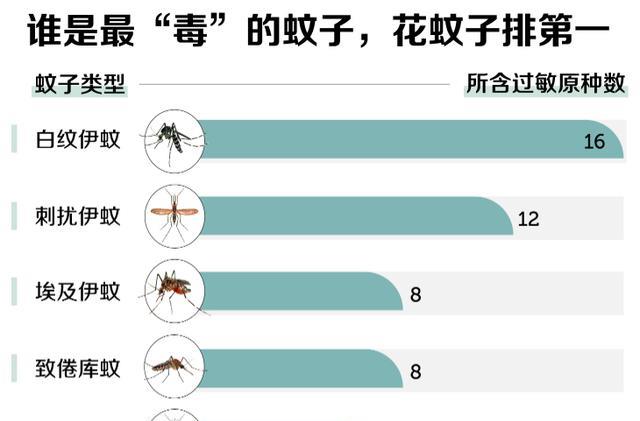 揭秘蚊子世界,最新報道與防治策略探索
