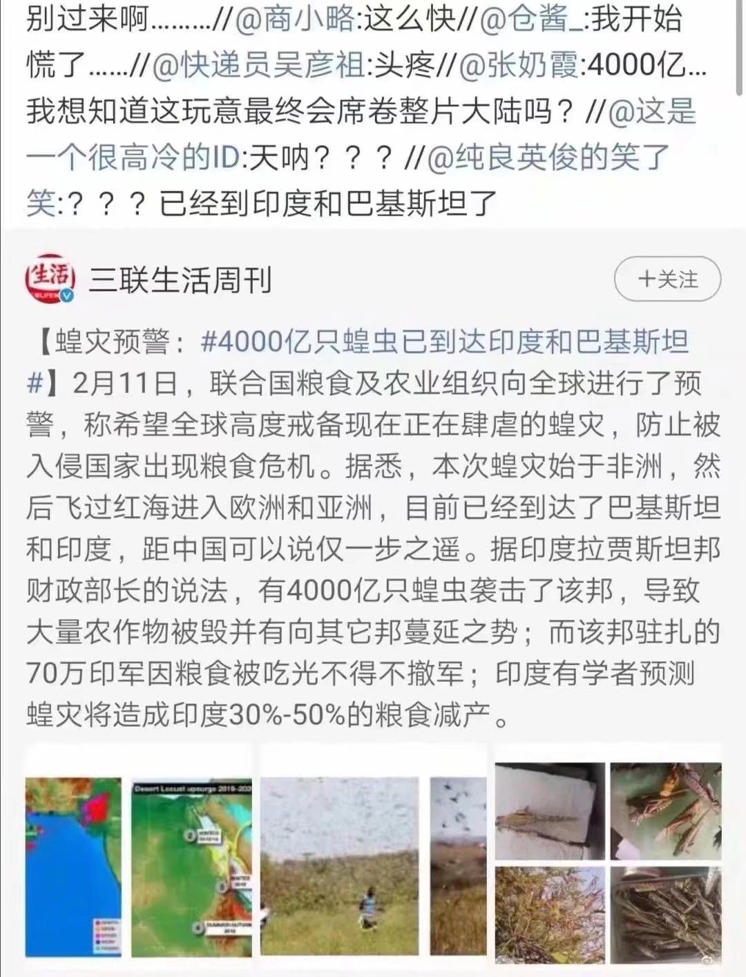 蝗蟲最新動態(tài)，防治與監(jiān)測的全面指南