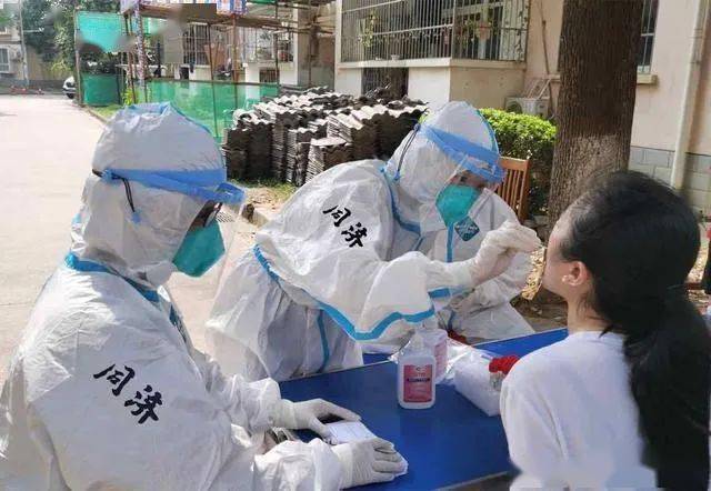 疫情源頭最新探討，探究疫情起源與發展趨勢分析