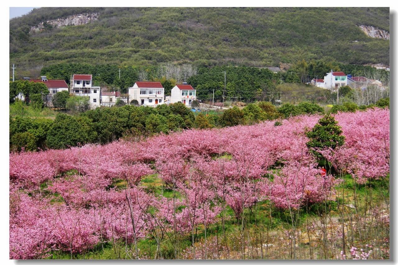 最新暴雨通知,科技智能守護安全,生活無憂預警通知